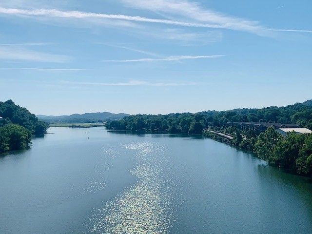 Anita Drive Land: 000 Anita Dr, Knoxville, TN 37920
